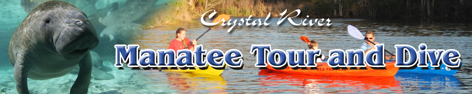 Manatee Tours in Crystal River